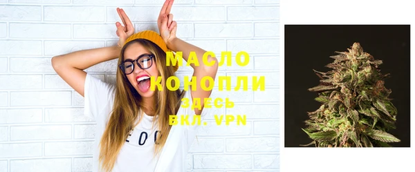 шишки Вяземский