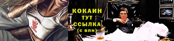шишки Вяземский