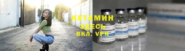 индика Волоколамск
