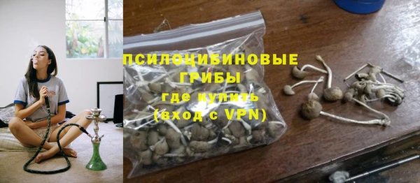 индика Волоколамск