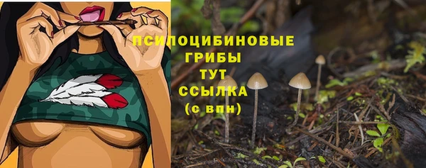 кокс Козловка