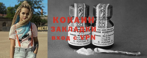 шишки Вяземский