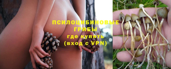 spice Володарск